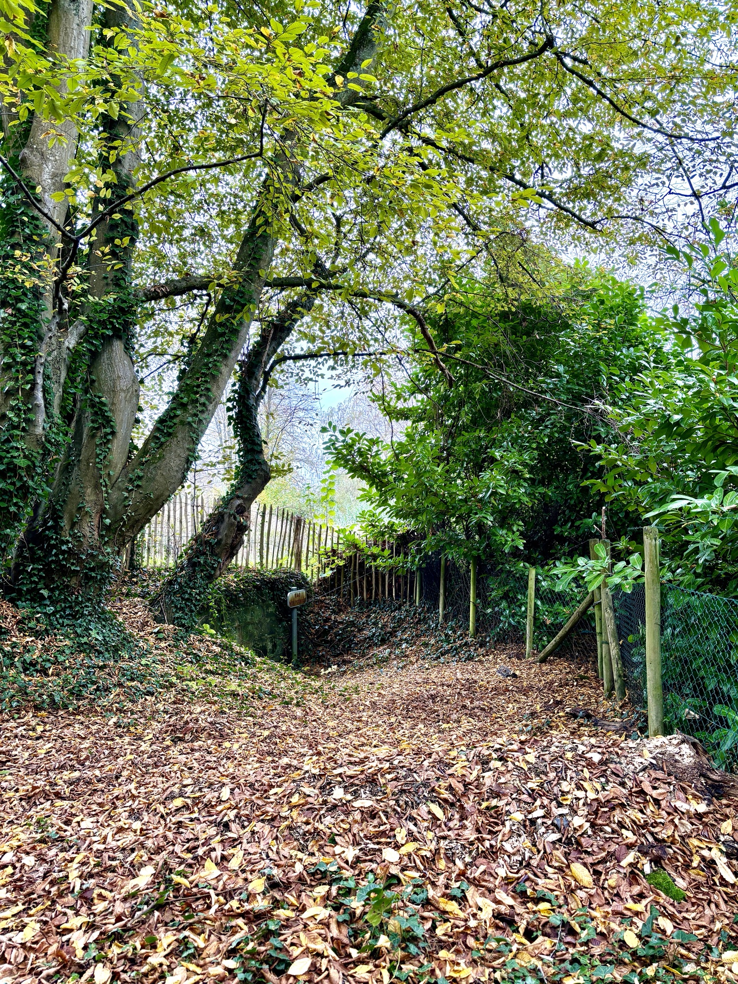 La source « Sainte Wivine » photo Roland Zanasi