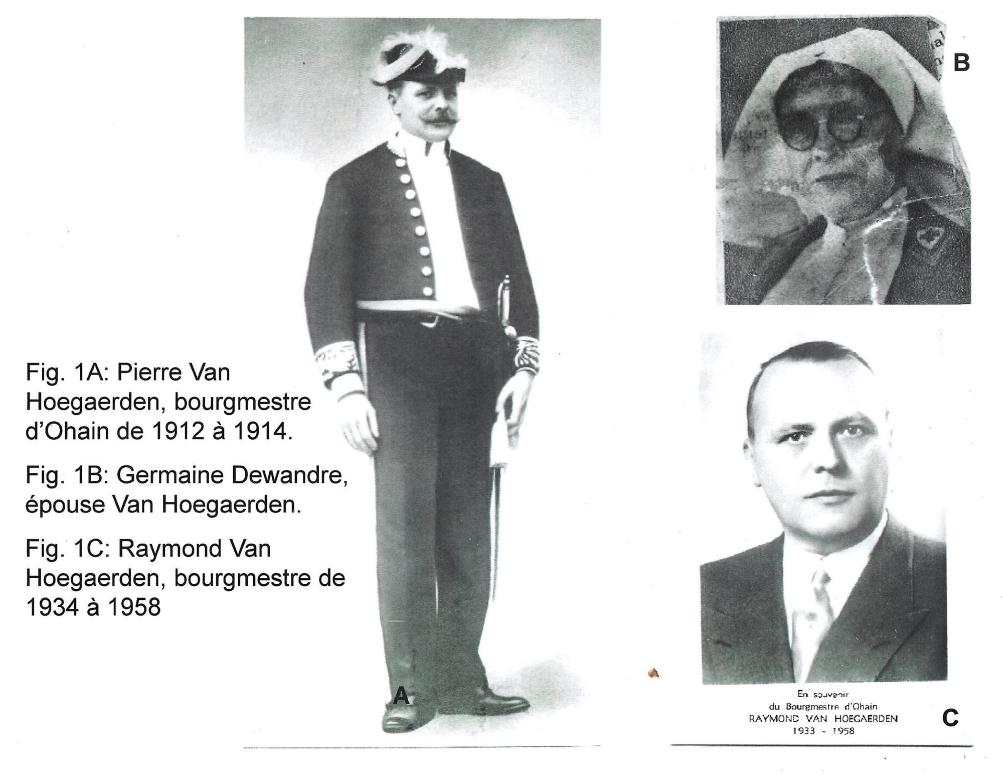 Pierre Van Hoegarden