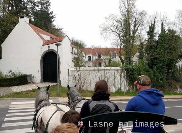 Balade en calèche en 2022